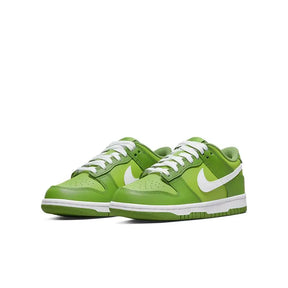 Nike Sb Dunk